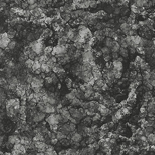 挪威雨林OMQ-8841